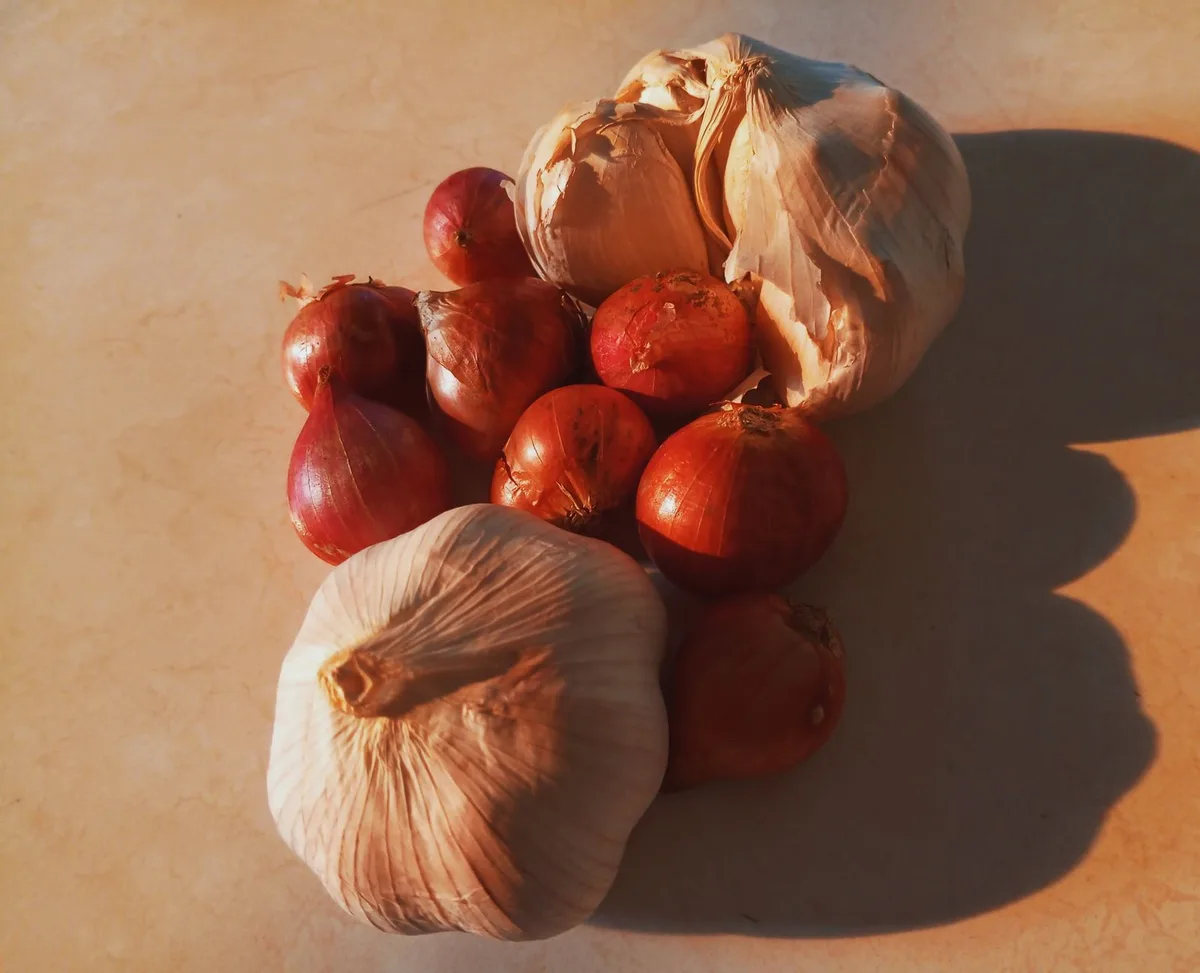 Aliments de saison disposés sur un plan de travail : raisins, baies, légumes verts, conserves et légumineuses en lumière
