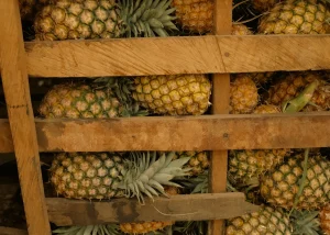 Ananas frais tranché avec jus versé sur une viande crue préparée pour la marinade