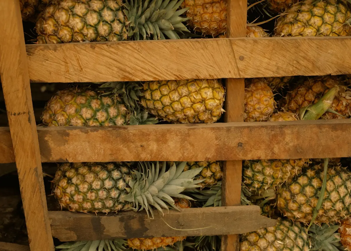 Ananas frais tranché avec jus versé sur une viande crue préparée pour la marinade