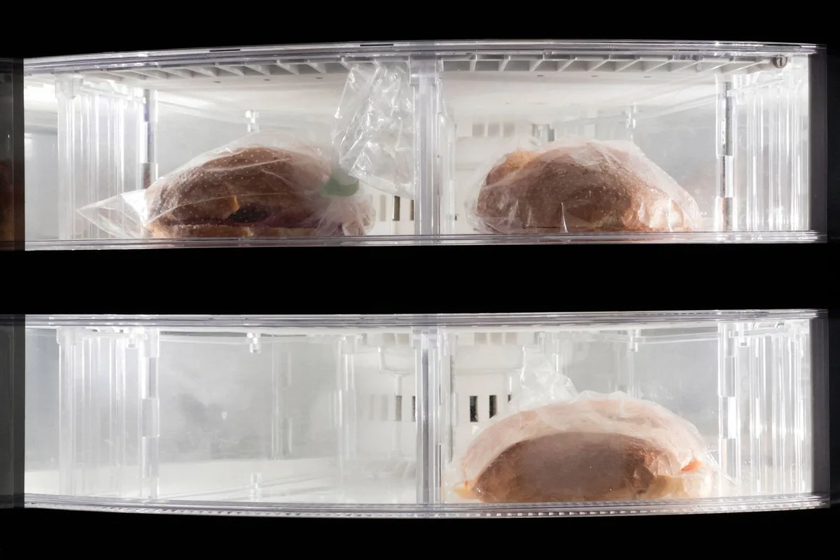 Aliments surgelés et congelés rangés dans un congélateur pour une conservation longue durée
