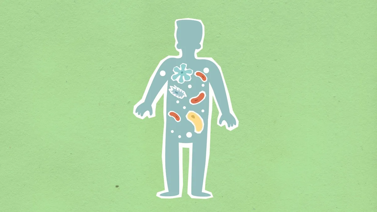 Illustration du microbiote intestinal avec bactéries et micro-organismes
