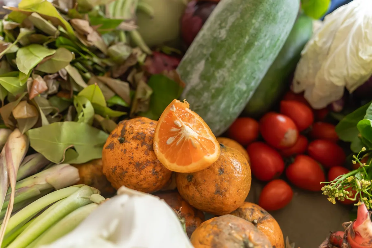 Assortiment d'aliments riches en fibres : pruneaux, agrumes, poires, légumes verts et céréales complètes.