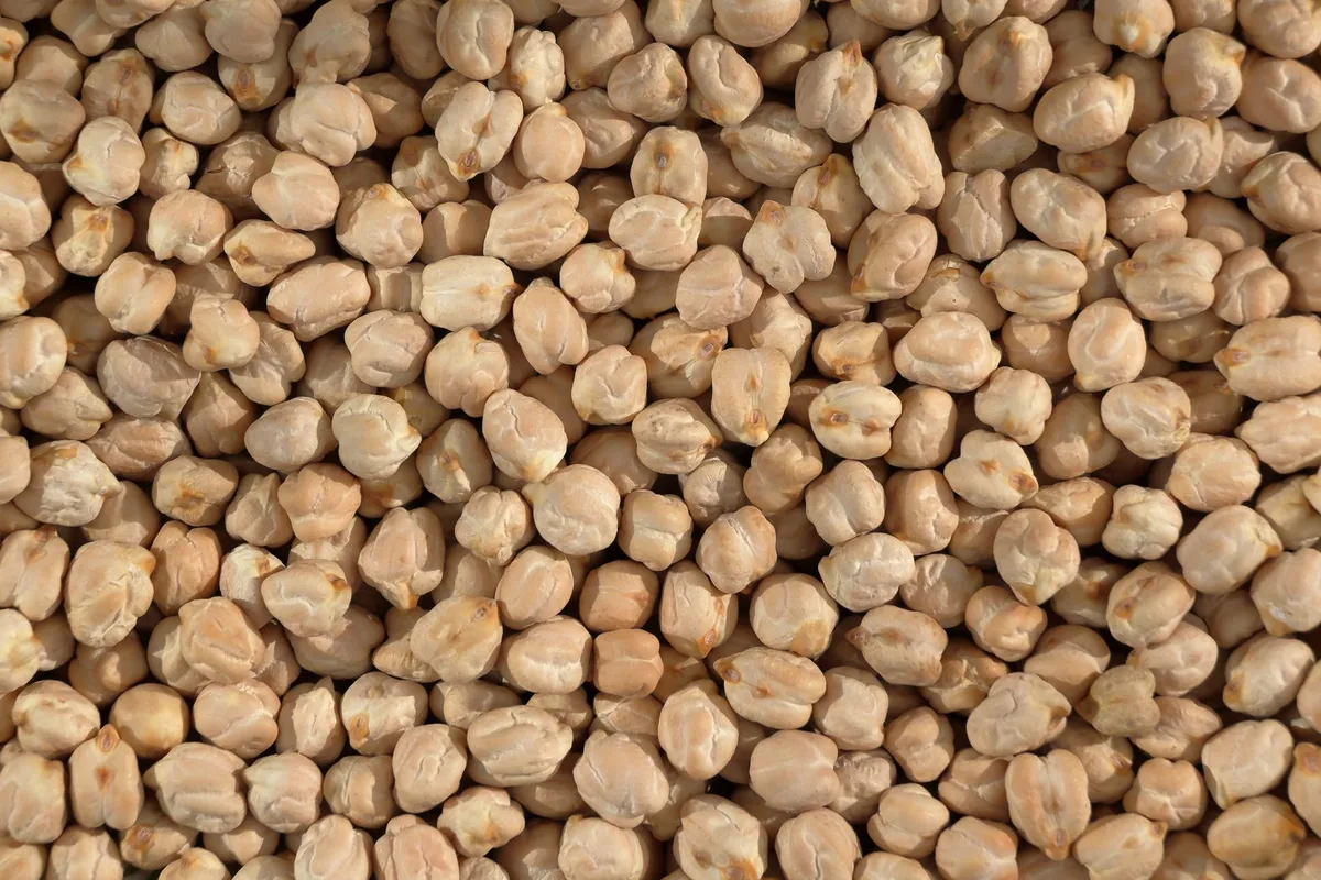 Pois chiches secs et en conserve pour préparer le chana masala