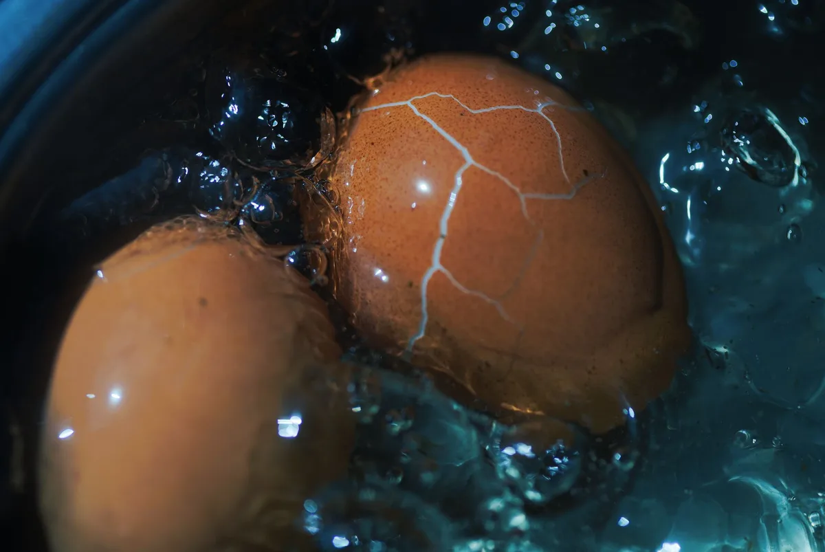 Œufs frais plongés dans l'eau bouillante d'une casserole pour une cuisson parfaite