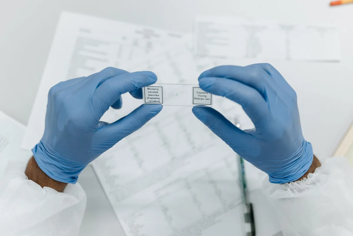 Graphique ou données scientifiques montrant des résultats d'études contradictoires