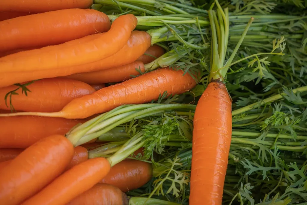 Assortiment de légumes riches en vitamine A : carottes, patates douces et légumes verts frais sur fond bois