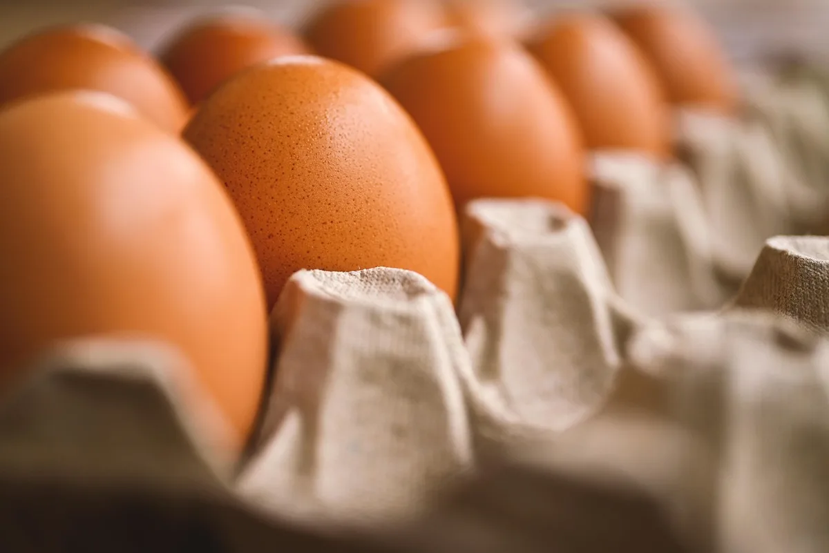 Récipients de repas préparés en lots rangés au réfrigérateur