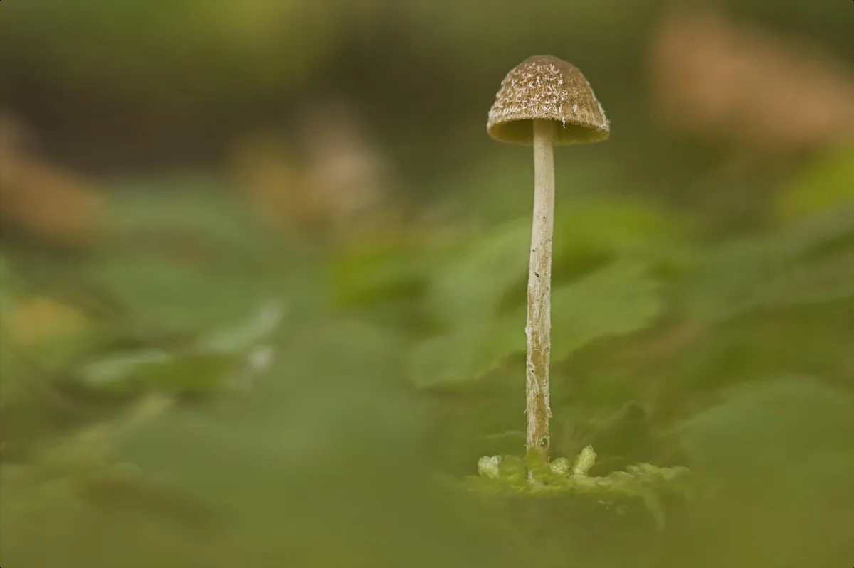 Éponge et surfaces humides montrant l'importance de l'hygiène