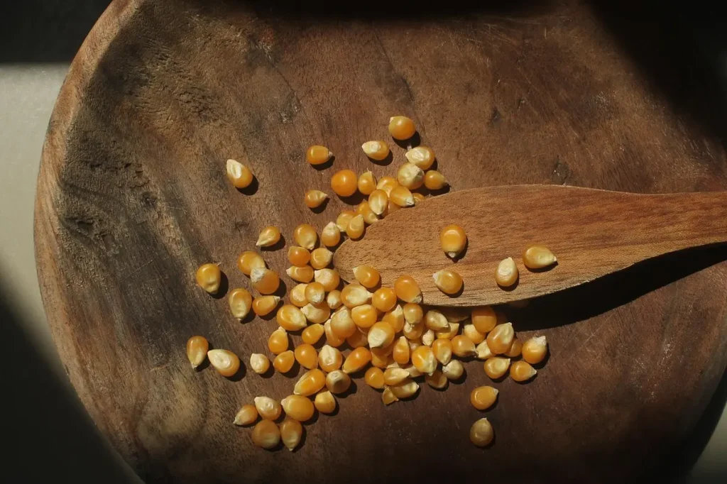 Graines de moutarde versées dans un bol d'eau et de vinaigre pour le trempage maison.