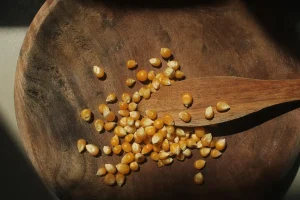 Graines de moutarde versées dans un bol d'eau et de vinaigre pour le trempage maison.