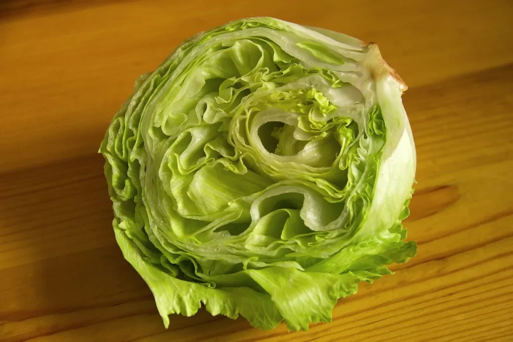 Personne tenant des légumes frais et une bouteille d'eau dans une cuisine ensoleillée