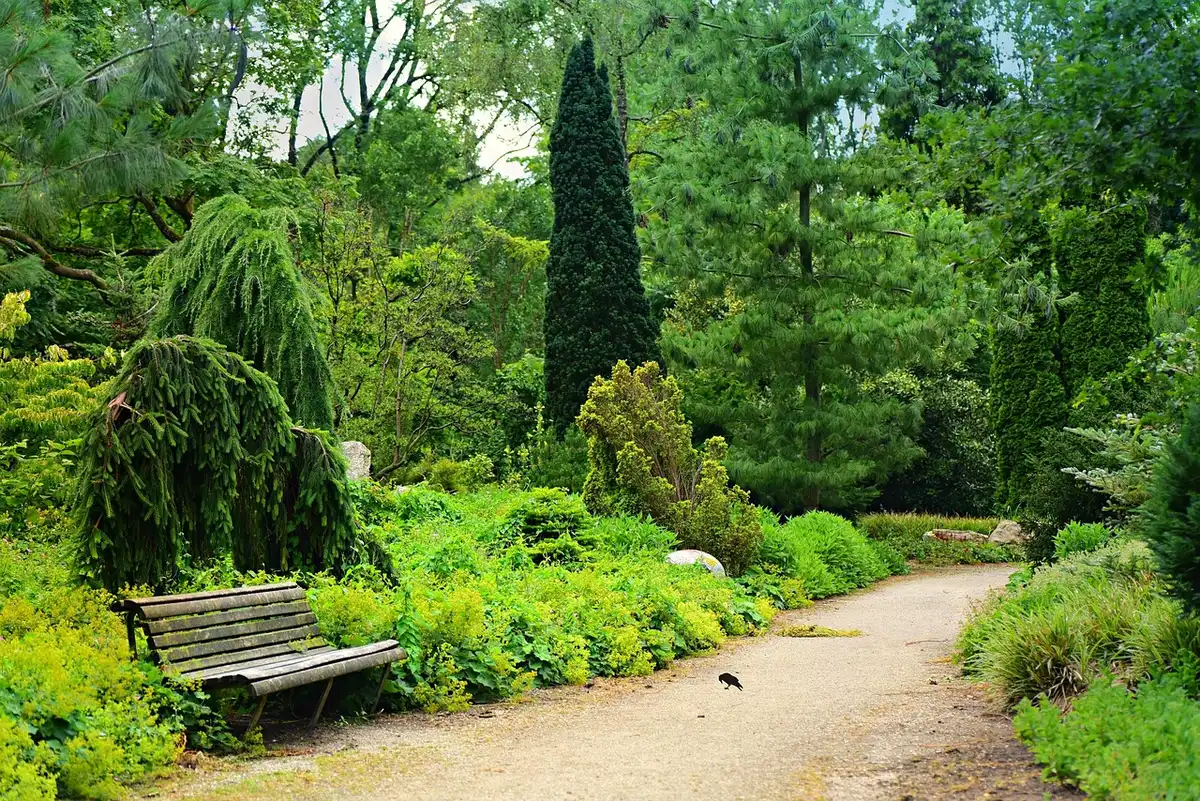 Silhouettes de marcheurs sur un chemin de parc et un podomètre sur un banc