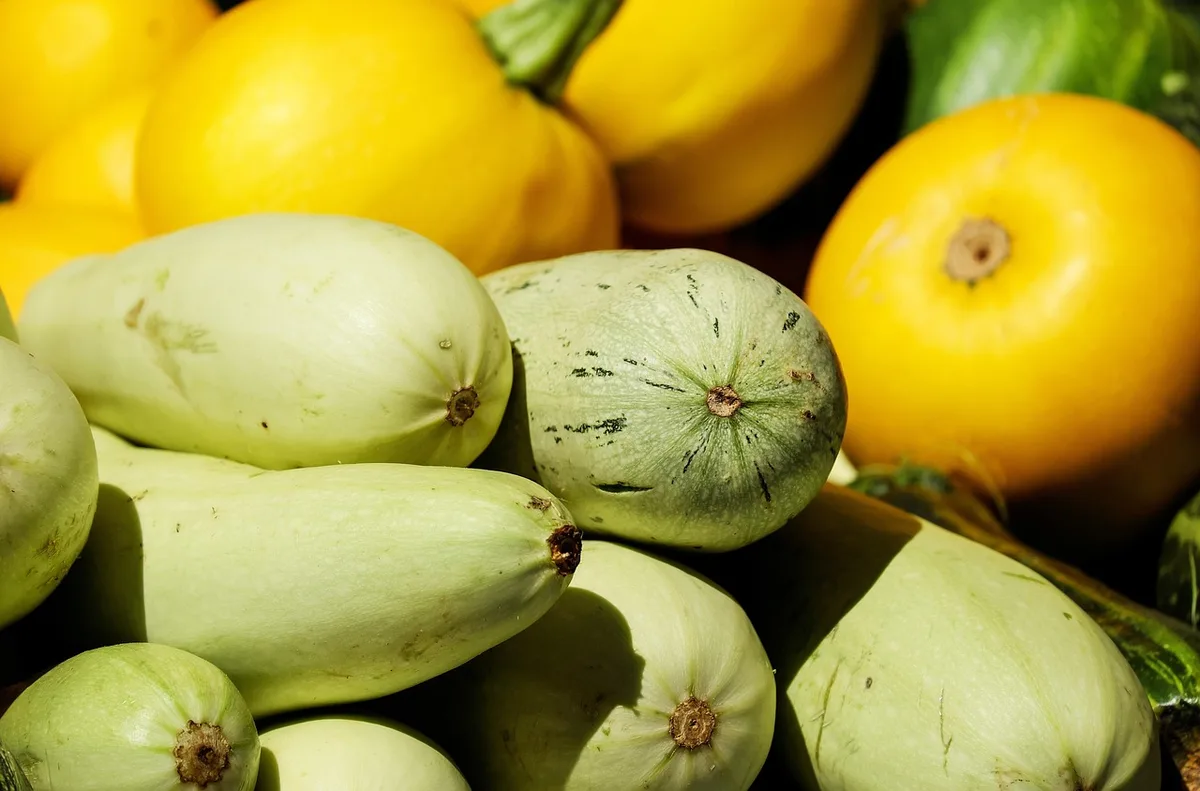 Différentes baies de poivre (noir, blanc, vert, rouge) disposées dans des cuillères