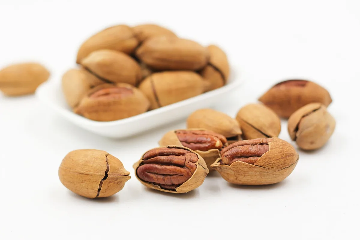 Assortiment de collations saines : fruits, yaourt et noix disposés dans des bols