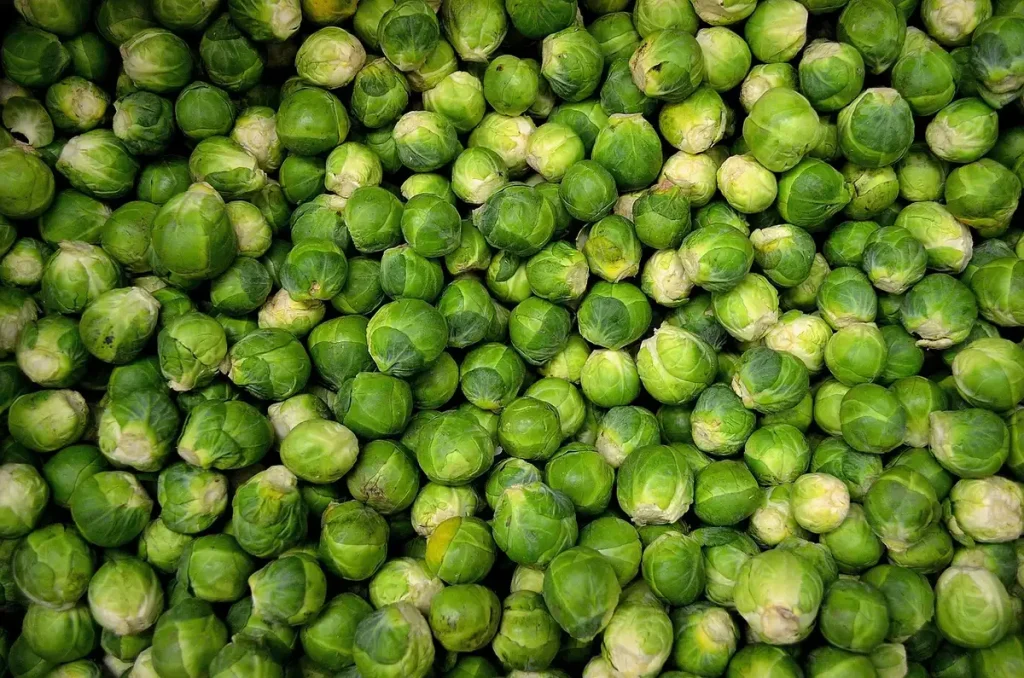 Étals de marché en journée montrant légumes aux formes atypiques et clients anonymes