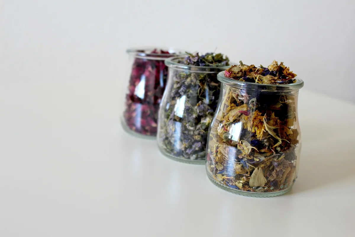 Fleurs de calendula séchées dans un bocal, prêtes pour la macération