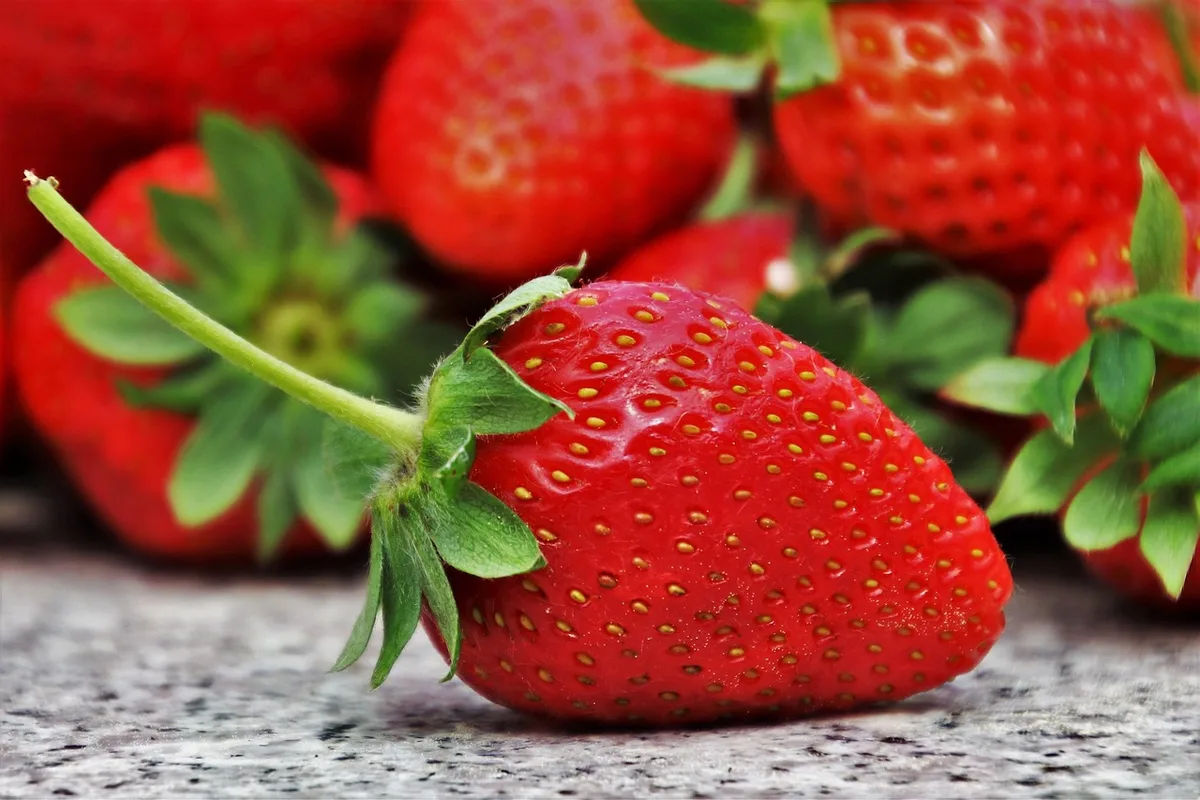 Bol de yaourt grec avec fruits et graines sur une table ensoleillée