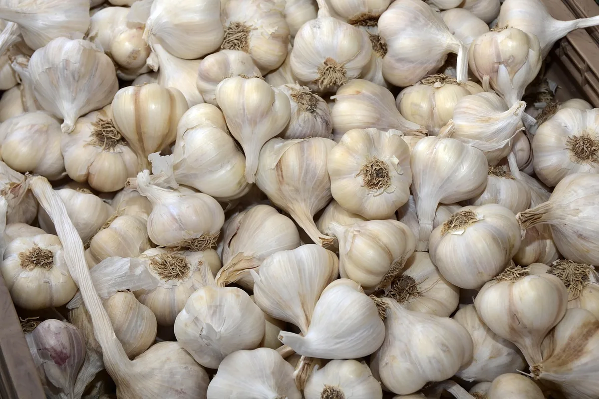 Reconstitution d'un marché médiéval avec épices et pièces anciennes